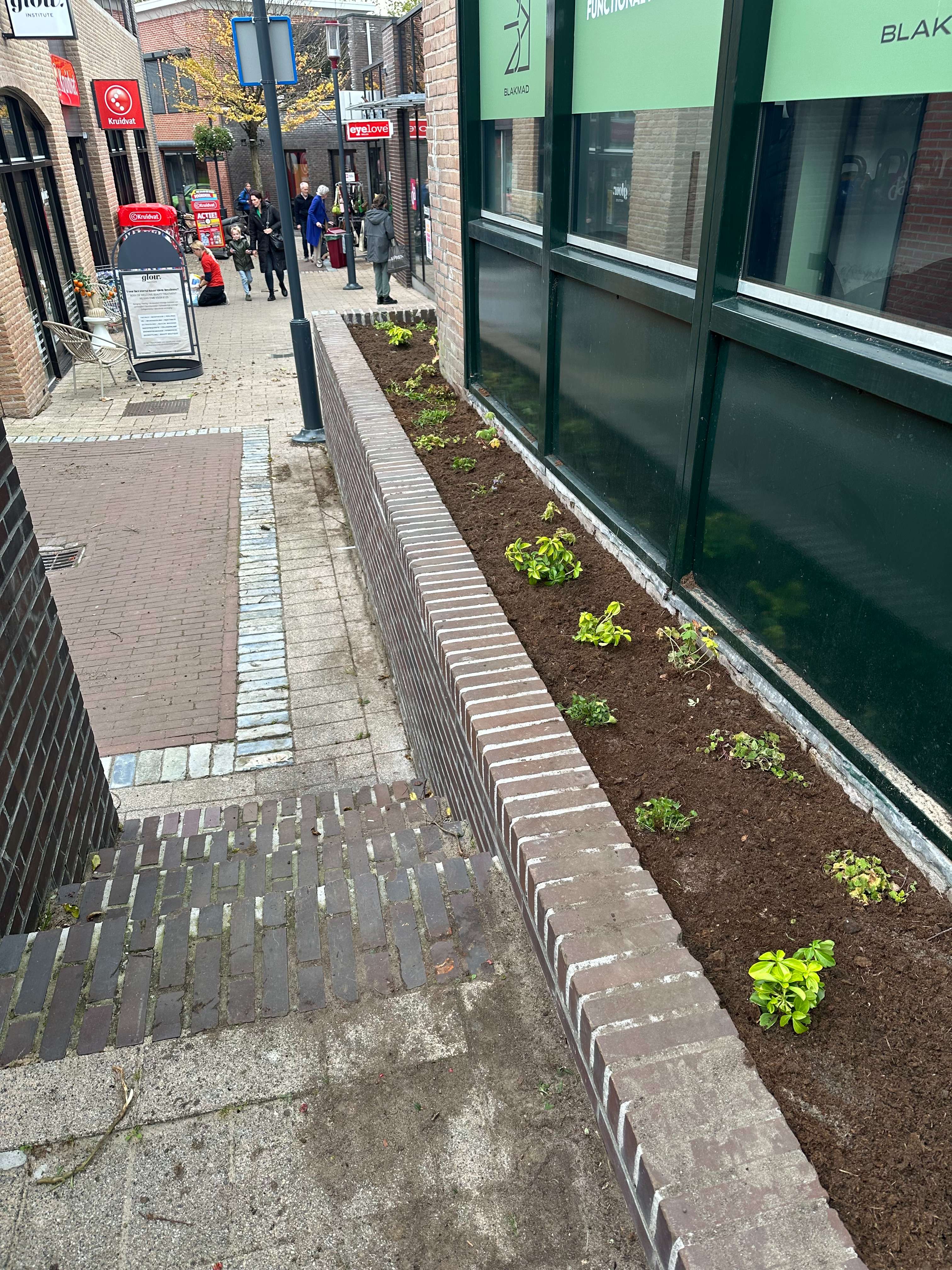 Aanplanting in winkelstraat in Oostvoorne