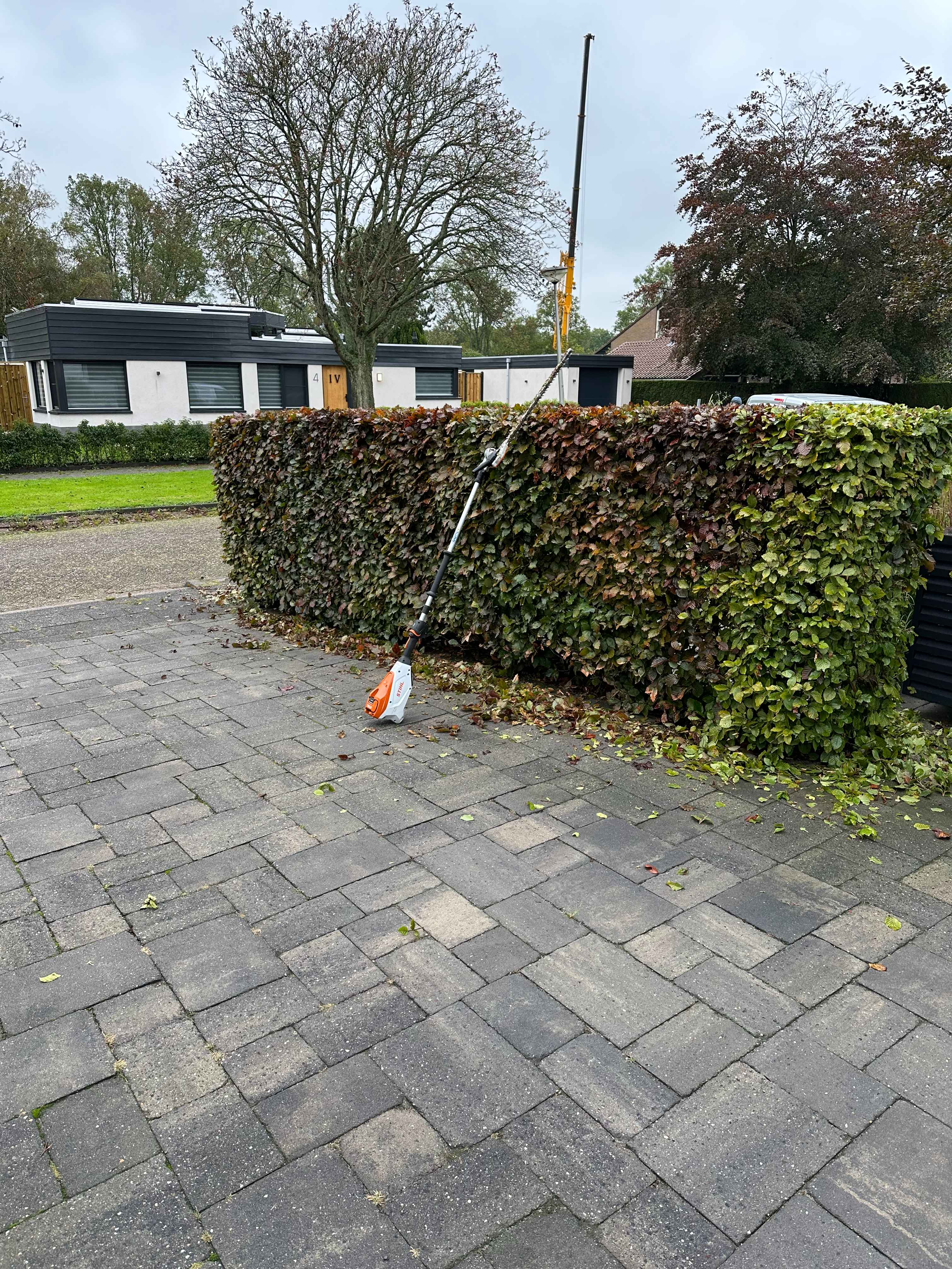 Heg snoeien met apparatuur die op tegels staat