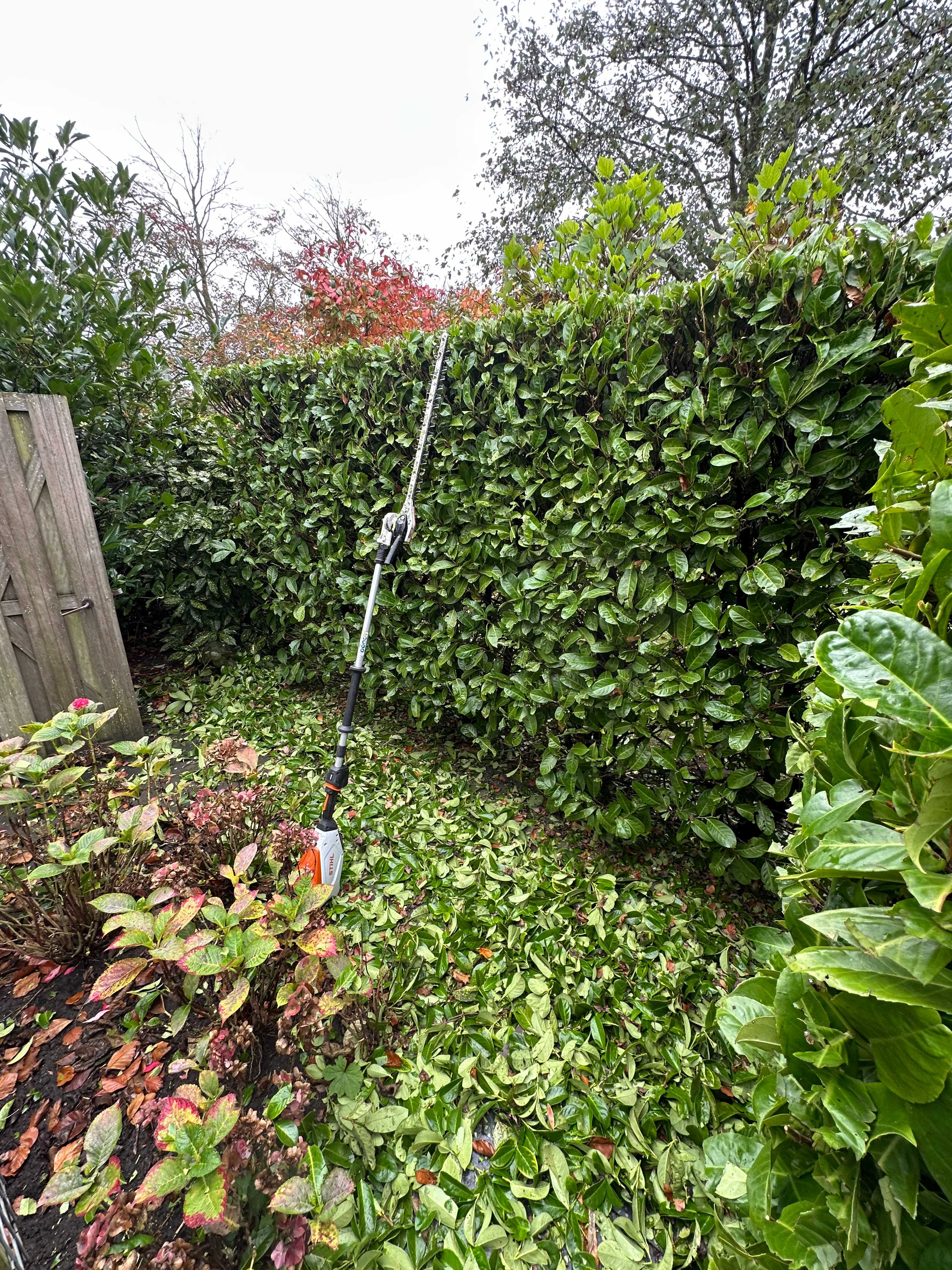 Heg snoeien met apparatuur