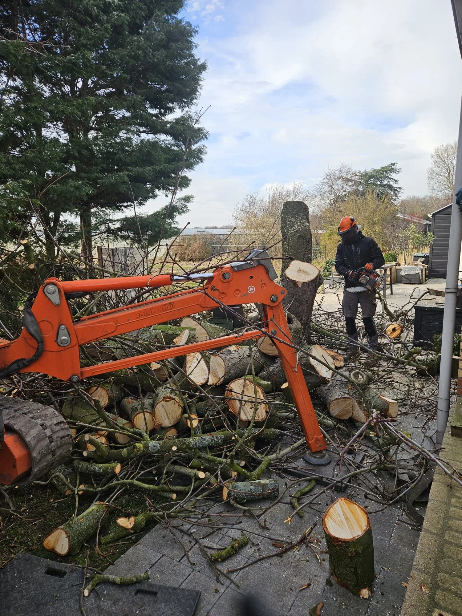 Boomverzorging boom vellen takken — boomverzorging door Homeservices in regio Voorne aan Zee