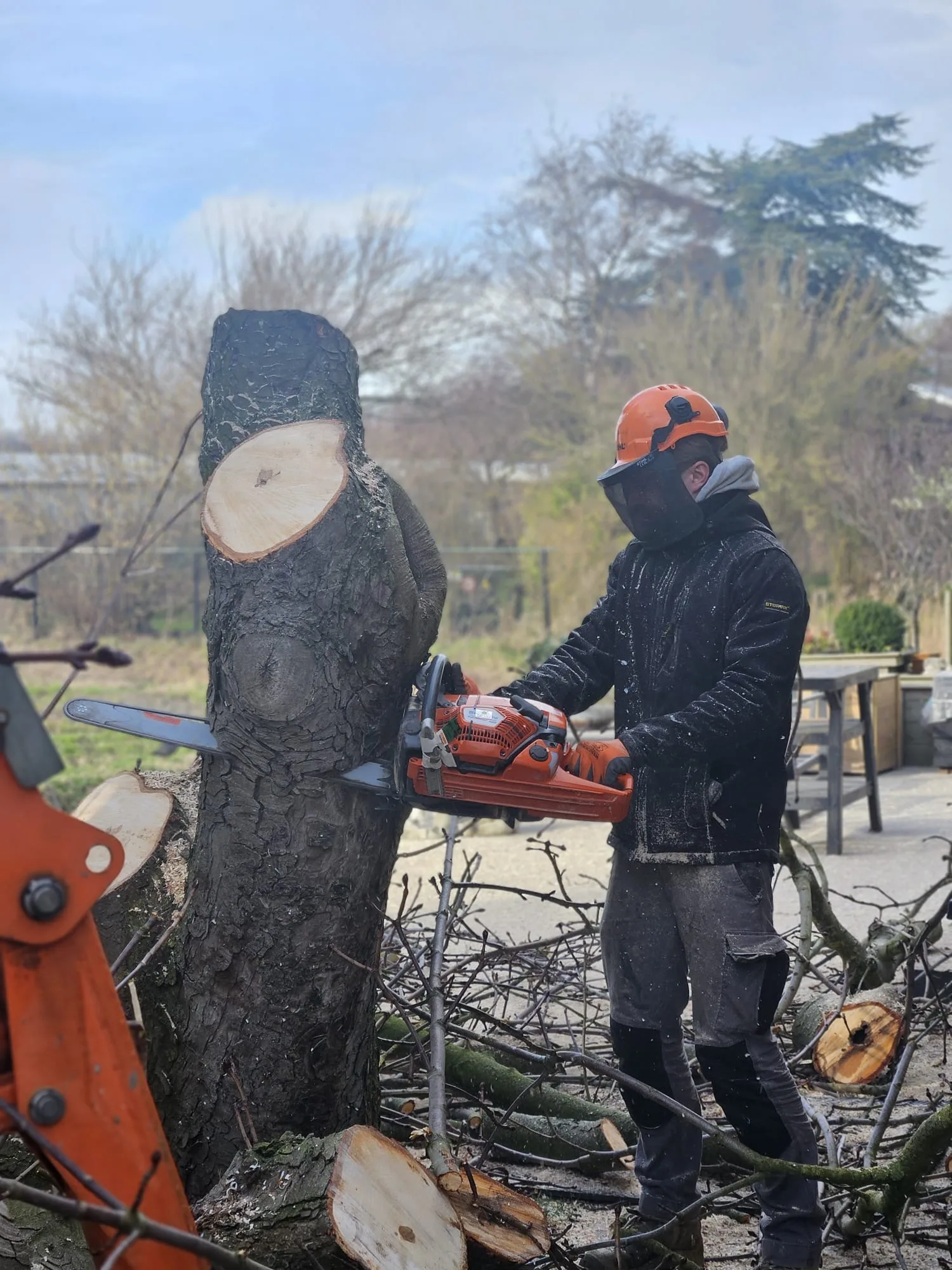 Boomverzorging stam zagen kettingzaag — boomverzorging door Homeservices in regio Voorne aan Zee