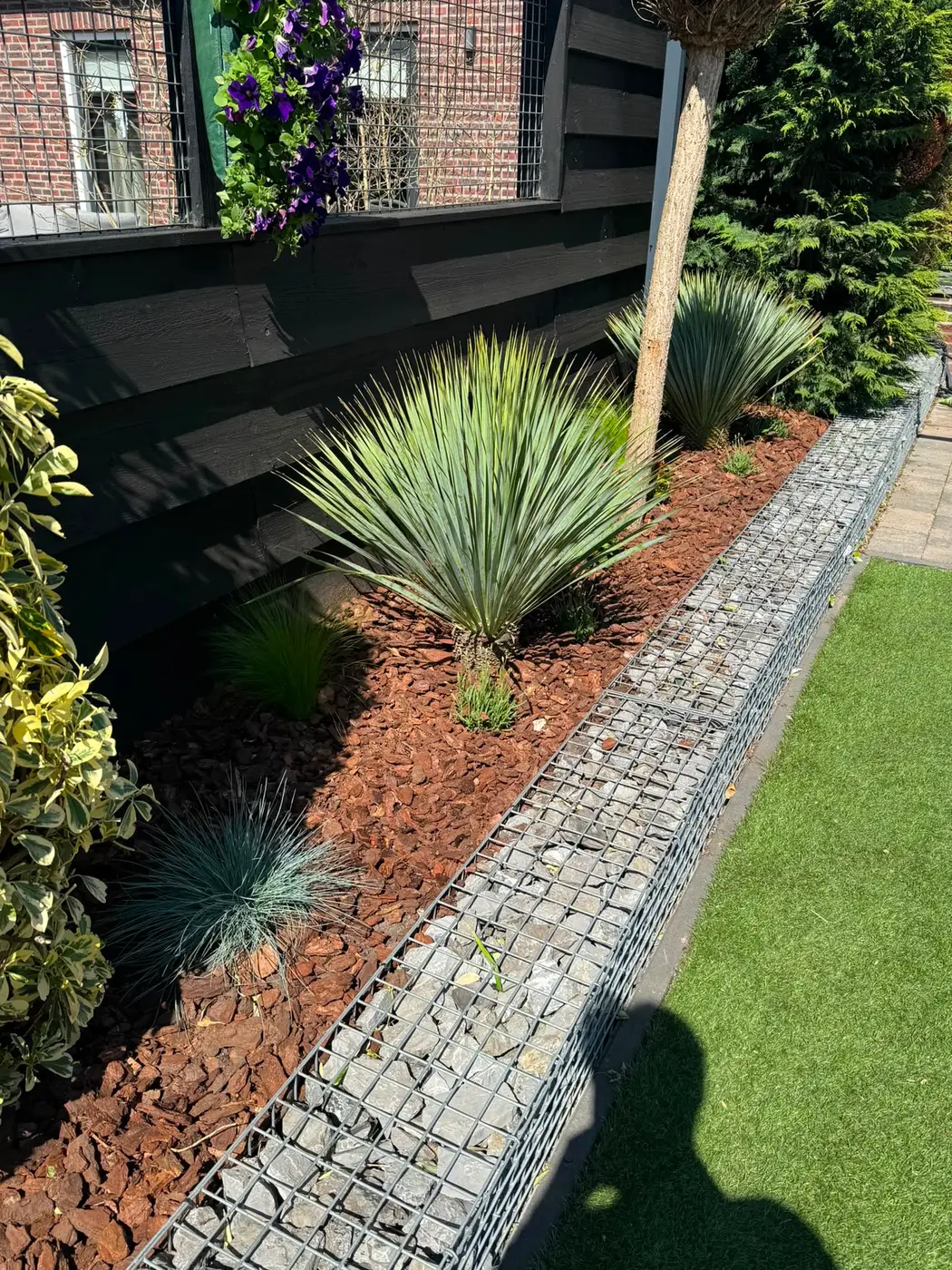 Aanplanting border yuccas schanskorf — tuinaanleg door Homeservices in regio Voorne aan Zee