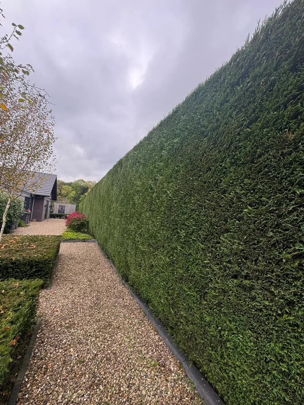 Tuinonderhoud door Homeservices