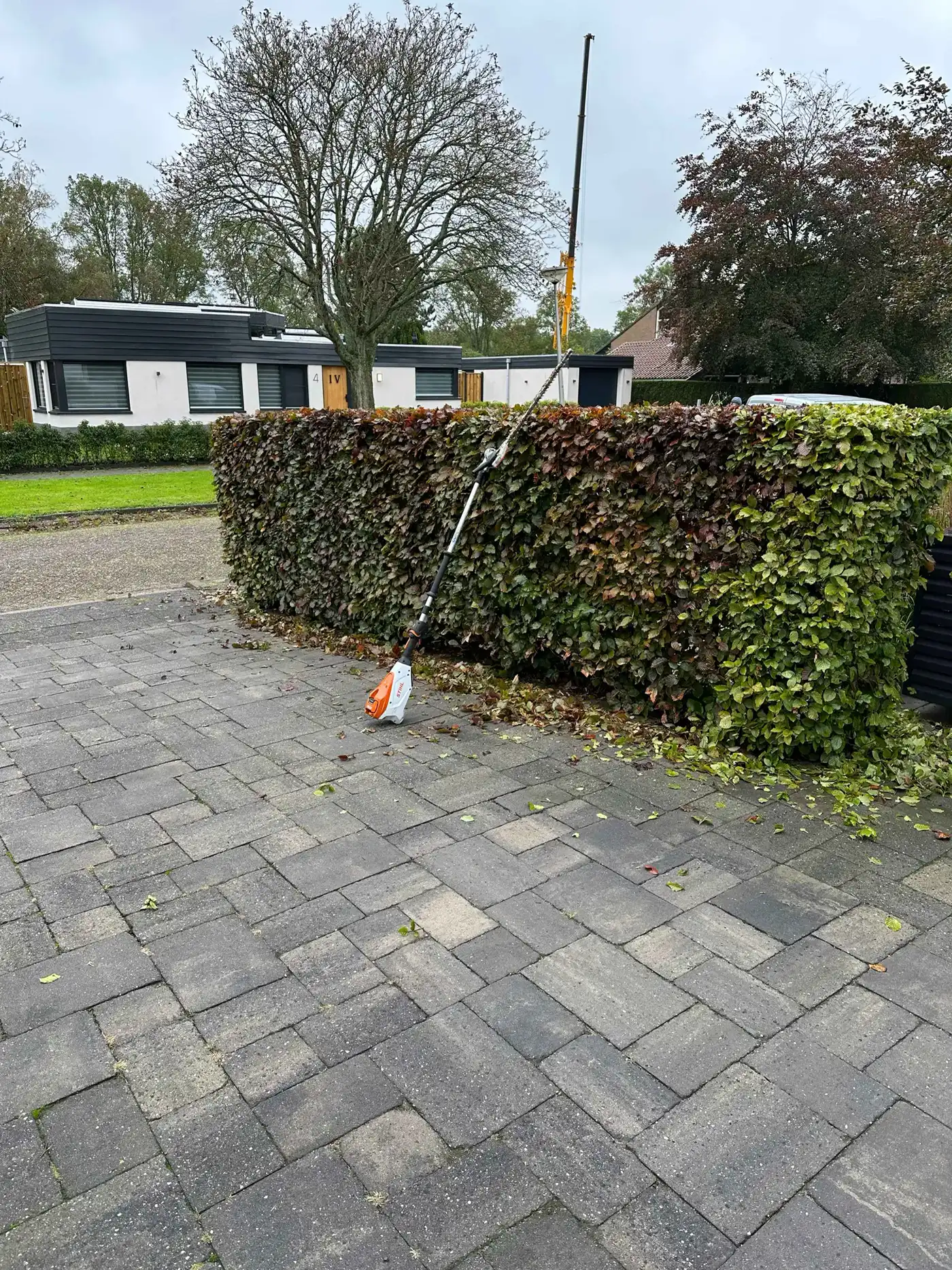 Tuinonderhoud heg snoeien beukenhaag — tuinonderhoud door Homeservices in regio Voorne aan Zee