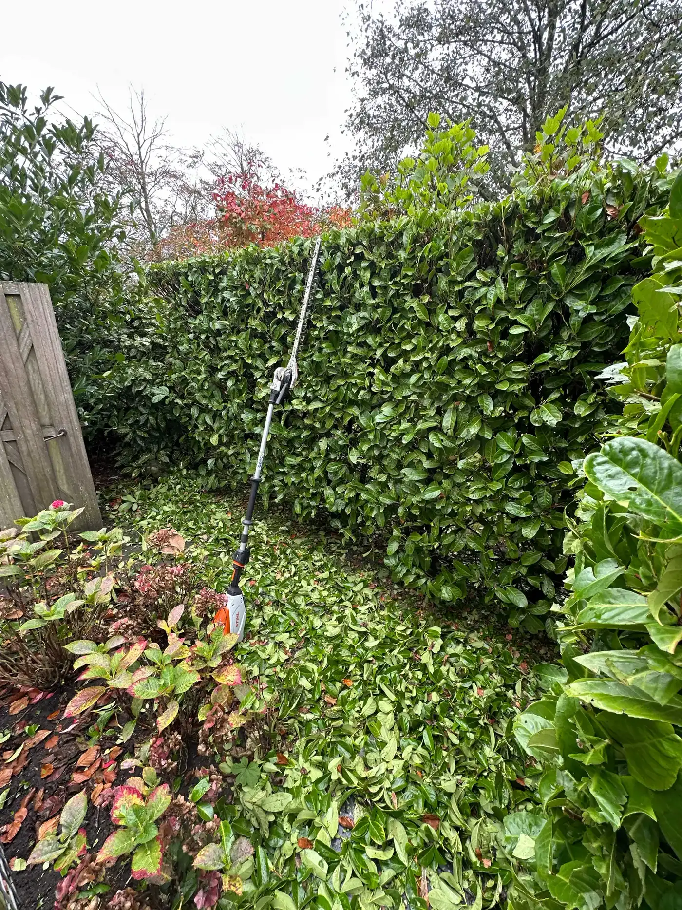 Tuinonderhoud heg snoeien — tuinonderhoud door Homeservices in regio Voorne aan Zee